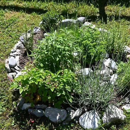 Mitterwallner 3* Schladming