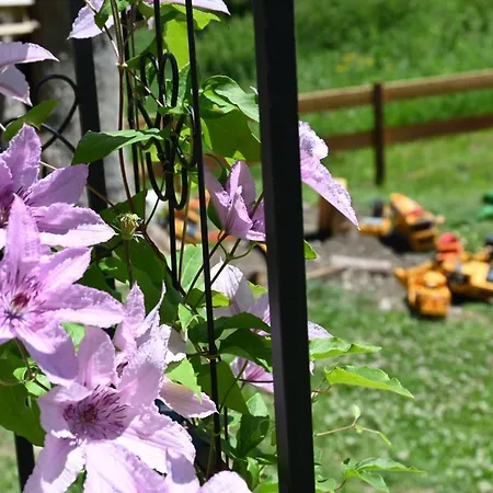 Mitterwallner Affittacamere 3*