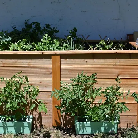 招待所 Mitterwallner 3*