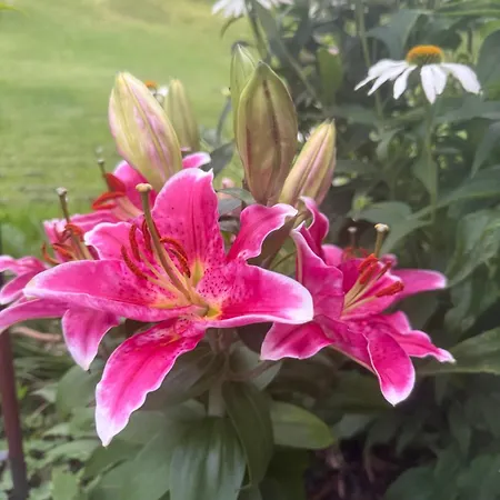 招待所 Mitterwallner 斯拉德明