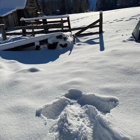 Mitterwallner 斯拉德明