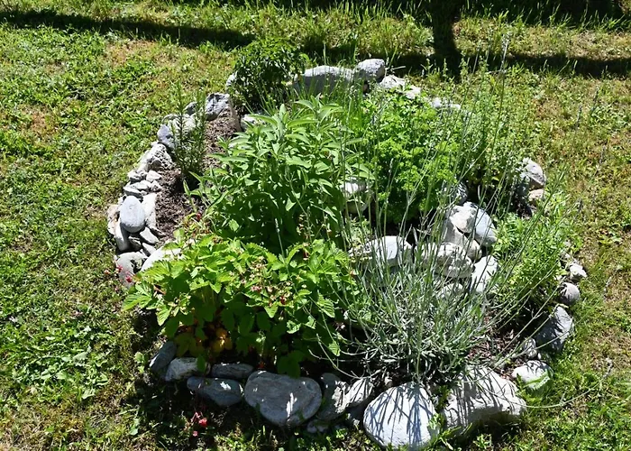 Mitterwallner 3* Schladming