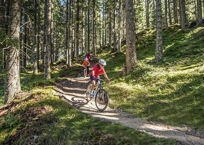 Gasthuis Mitterwallner 3*