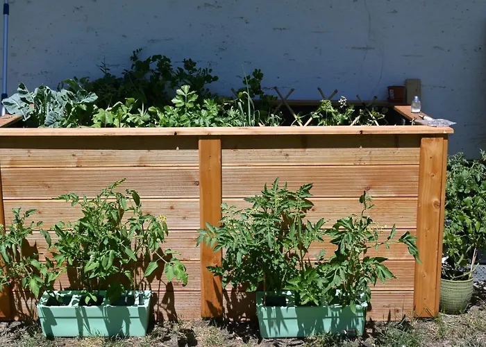 Pensjonat Mitterwallner 3*